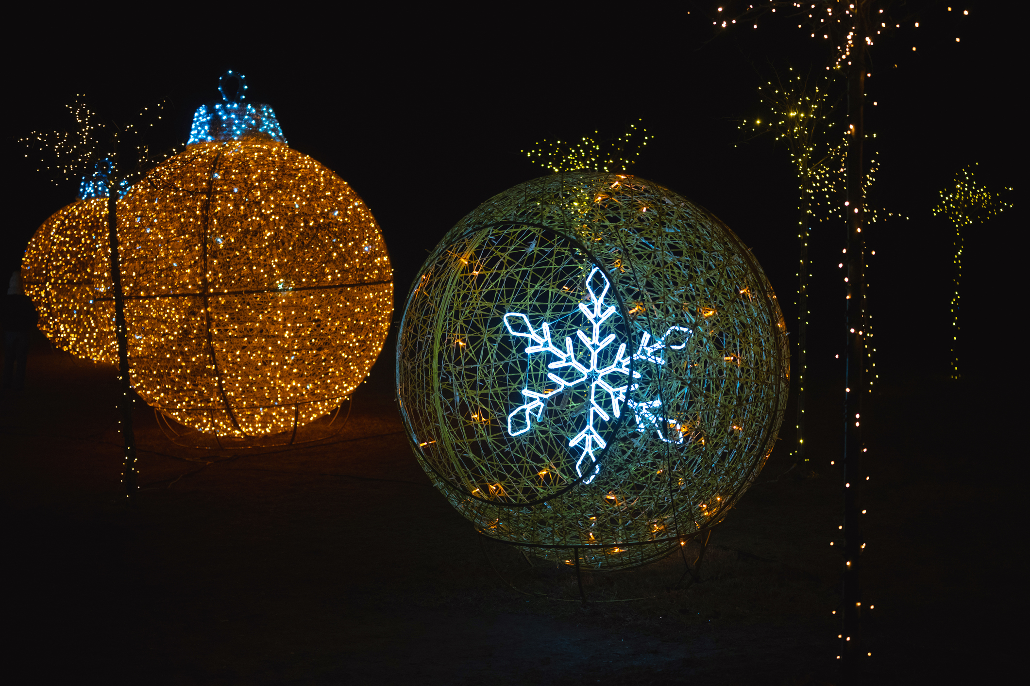 Large glowing light sculptures along the Christmas trail at Mādahòkì Farm.